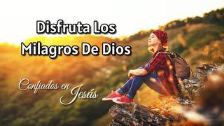 Disfruta Los Milagros De Dios Hebreos 4:14 Nueva Versión Internacional - Español