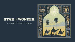 Star of Wonder: 5-Days of Advent to Illuminate the People, Places, and Purpose of the First Christmas John 10:25-30 New International Version