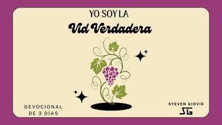 Yo Soy La Vid Verdadera Juan 14:6 Nueva Versión Internacional - Español