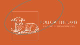 Follow the Lamb - 21 Day Study on the Book of Revelation Daniel 7:13-14 New Revised Standard Version