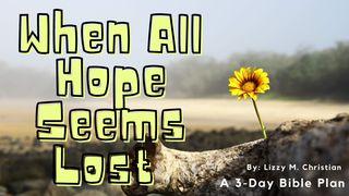 When All Hope Seems Lost John 16:33 New Living Translation