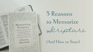 5 Reasons to Memorize Scripture (And How to Start) Matthew 12:33-37 New Living Translation