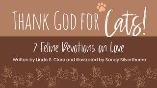 Thank God for Cats!: 7 Feline Devotions on Love 1 Chronicles 28:9 New International Version