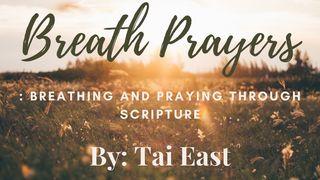 Breath Prayers: Breathing & Praying Through Scripture Psalms 94:19 Christian Standard Bible