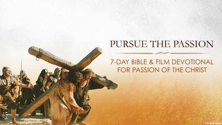 Pursue The Passion 1 Timothy 6:11-12 Amplified Bible, Classic Edition
