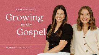 Growing in the Gospel: A 5-Day Devotional James 1:9-11 New Living Translation