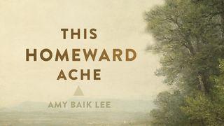 This Homeward Ache Psalm 9:9-10 Amplified Bible, Classic Edition