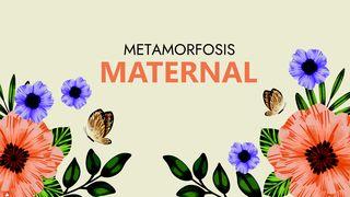 Metamorfosis maternal Romanos 11:36 Nueva Traducción Viviente