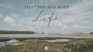 That You May Have Life John 6:28 Amplified Bible, Classic Edition
