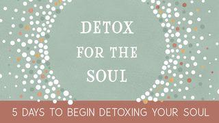 5 Days to Begin Detoxing Your Soul Numbers 23:19-20 New International Version