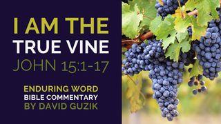 I Am the True Vine: Bible Commentary on John 15:1-17 Matthew 21:42 English Standard Version 2016