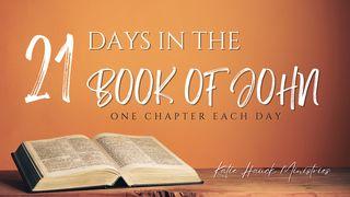21 Days in the Book of John Numeri 21:9 Nuova Riveduta 2006