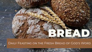 BREAD - Daily Feasting on the Fresh Bread of God's Word Deuteronomy 5:33 English Standard Version 2016