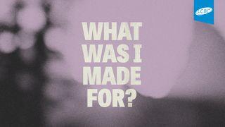 What Was I Made For? Uncovering Your God-Given Purpose Ecclesiastes 1:9 Amplified Bible, Classic Edition