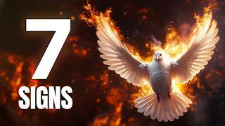 7 Biblical Signs Confirming the Presence of the Holy Spirit Within You Romans 8:16-17 King James Version