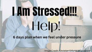 I Am Stressed!!! Help! Deuteronomy 1:31 New International Version