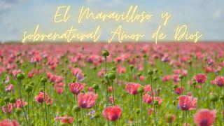 El Maravilloso Y Sobrenatural Amor De Dios Mateo 28:18-20 Nueva Versión Internacional - Español
