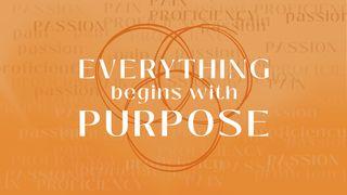 EVERYTHING Begins With Purpose Romans 11:29 New American Standard Bible - NASB 1995