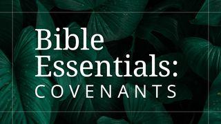The Covenants of the Bible Luke 22:19-20 The Message
