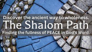 The Shalom Path Psalm 4:8 English Standard Version 2016