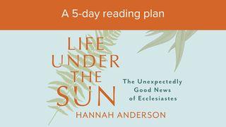 Life Under the Sun: The Unexpectedly Good News of Ecclesiastes Ecclesiastes 1:1-18 New International Version