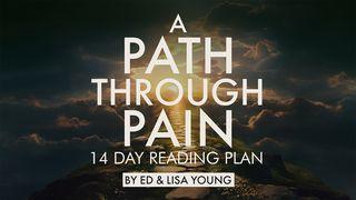A Path Through Pain Proverbi 16:18 Nuova Riveduta 2006