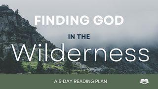 Finding God in the Wilderness 1 Kings 19:14 New American Standard Bible - NASB 1995