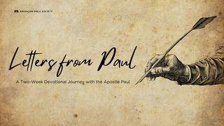 Letters From Paul Послание к Титу 3:9-15 Синодальный перевод