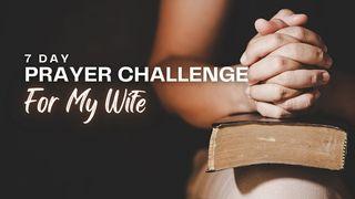 7 Day Prayer Challenge for My Wife Psalms 77:11-15 New International Version