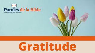 Gratitude 1 Thessaloniciens 5:18 Parole de Vie 2017