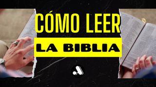 Cómo Leer La Biblia Salmo 119:105 Nueva Versión Internacional - Español
