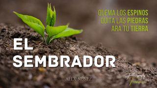 El sembrador 1 Corintios 10:13 Nueva Versión Internacional - Español