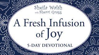 A Fresh Infusion Of Joy Philippians 4:4 Amplified Bible, Classic Edition