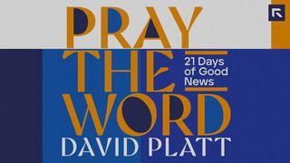 Pray the Word Proverbs 30:5 New International Version