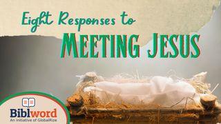 Eight Responses to Meeting Jesus Numbers 24:17 New Living Translation