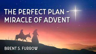 The Perfect Plan - Miracle of Advent Matthew 1:1-10 New Living Translation