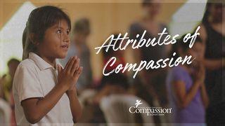 Attributes Of Compassion Proverbs 3:23 New International Version