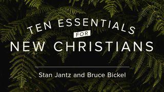 Ten Essentials for New Christians Luke 12:12 New Living Translation