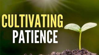 Cultivating Patience 1 Corinthians 3:6 English Standard Version 2016