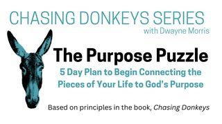 The Purpose Puzzle Psalms 73:25 New International Version