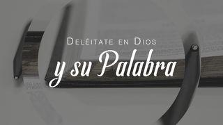 Deléitate En Dios Y Su Palabra ROMANOS 15:13 La Palabra (versión española)