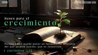 Bases Para Tu Crecimiento 1 Corintios 3:11 Nueva Versión Internacional - Español