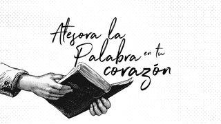 Atesora La Palabra En Tu Corazón 1 Corintios 10:13 Nueva Versión Internacional - Español