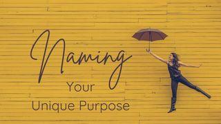 Naming Your Unique Purpose Mark 3:1-35 New International Version