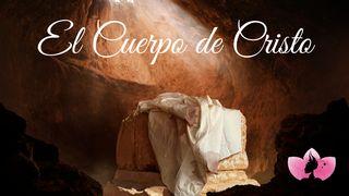 El Cuerpo De Cristo Romanos 8:16-17 Nueva Versión Internacional - Español