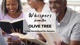 Whispers From the Olive Tree Job 12:12 New King James Version