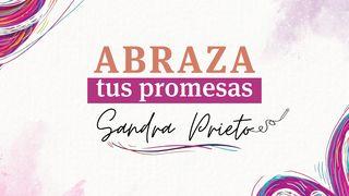 Abraza Tus Promesas MATEO 11:28 La Palabra (versión española)