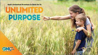 Unlimited Purpose Matthew 13:38 New International Version