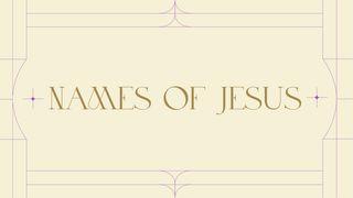 The Names of Jesus: A Holy Week Devotional Հայտնություն 5:5 Նոր վերանայված Արարատ Աստվածաշունչ