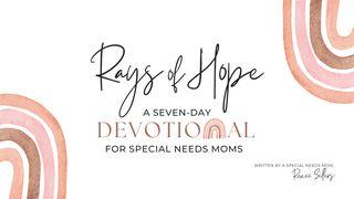 Rays of Hope for Special Needs Moms Isaiah 40:11 Amplified Bible